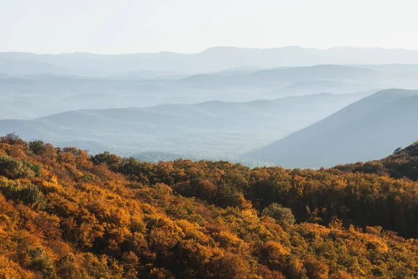 秋天层次分明的山景 橙色的秋天森林 蓝色的山丘在地平线上的薄雾中 自然之美 空旷的背景或设计的横幅 — 图库照片
