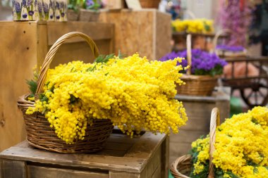 birçok çiçek sepeti sarı mor