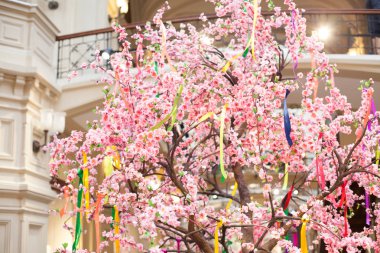 ağaç bahar beyaz çiçekler pembe çiçek açar.