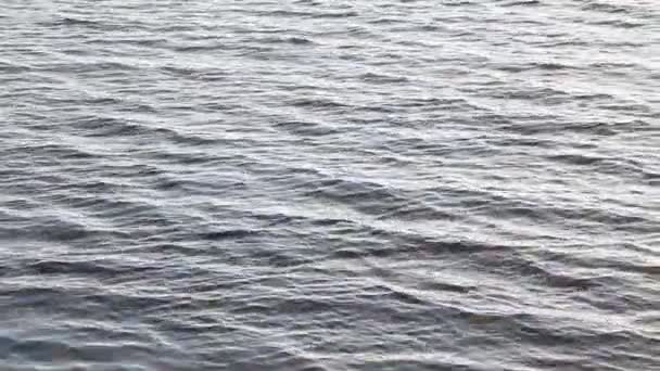 sur la plage au bord de la mer vagues vent Soleil 