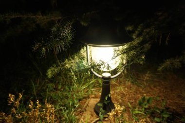 Bahçedeki fener gece parlar