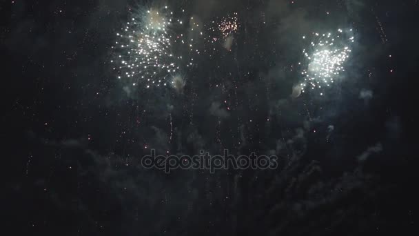 Ludzie wyglądają piękne fajerwerki wieczorem na wakacje — Wideo stockowe
