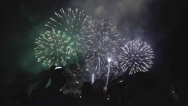 Beautiful Fireworks Festival people watching Fireworks — Stock Video