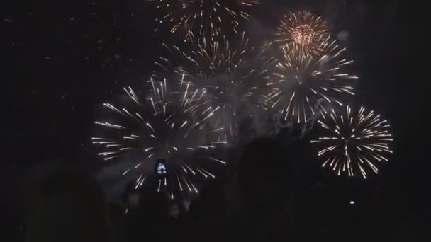 Gente hermosa del festival de fuegos artificiales viendo fuegos artificiales — Vídeo de stock