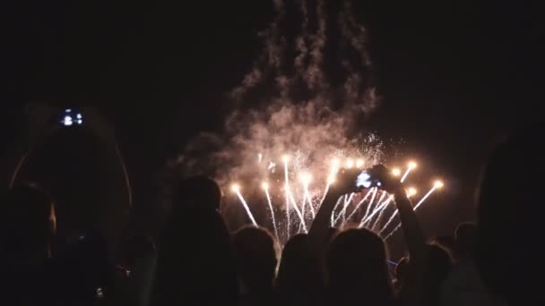 아름 다운 불꽃 축제 사람들이 불꽃놀이 보고 — 비디오
