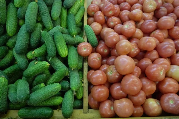 Cucumbers tomatoes sold in the store — Stock Photo, Image