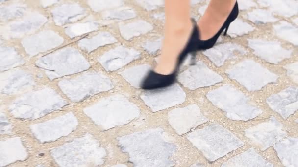 Piernas de mujer en zapatos negros en un camino de piedra — Vídeos de Stock