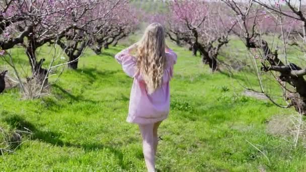 In the garden of flowering trees goes blonde girl in pink dress — Stock Video