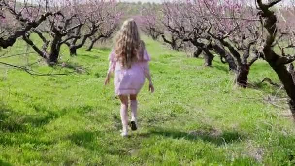 Im Garten blühender Bäume läuft Blondine im rosa Kleid — Stockvideo