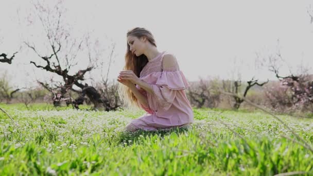 Mooi meisje verzamelt wilde bloemen in de tuin — Stockvideo