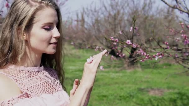 Έντομο πασχαλίτσα στα χέρια της γυναίκας με λουλούδι — Αρχείο Βίντεο