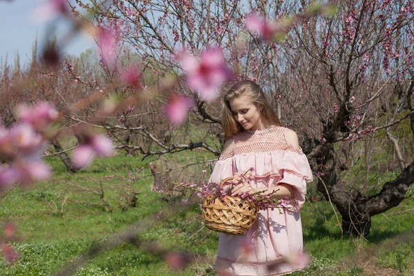 Pembe elbiseli sarışın kız bahçede çiçek toplama — Stok fotoğraf