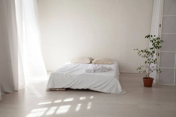 Bedroom with a white bed and green plant — Stock Photo, Image