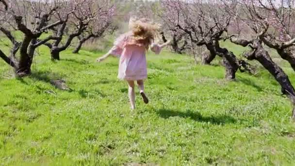 In the garden of flowering trees runs blonde in pink dress — Stock Video