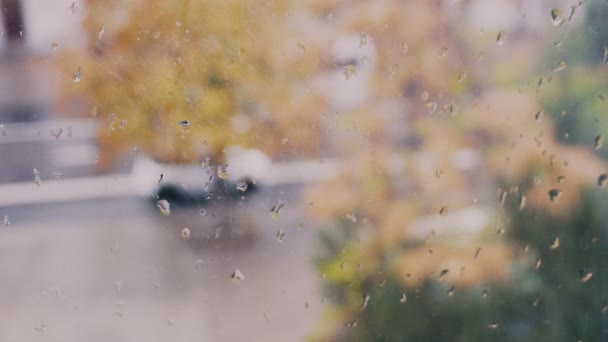 Regendruppels venster onderweg met machines — Stockvideo