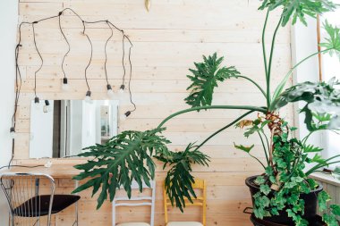 Makyaj sanatçıları odanın içinde çalışıyor.