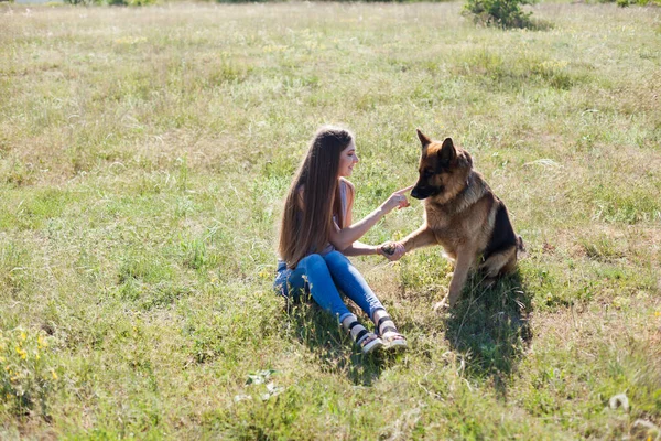 Frau trainiert Schäferhund im Park bei Spaziergang — Stockfoto