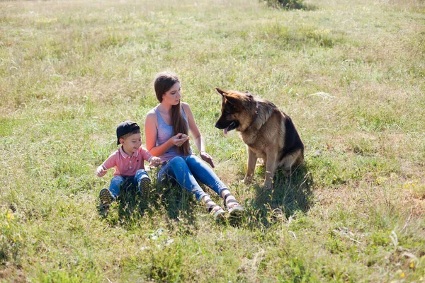 Vrouw traint Duitse herder in park te voet — Stockfoto