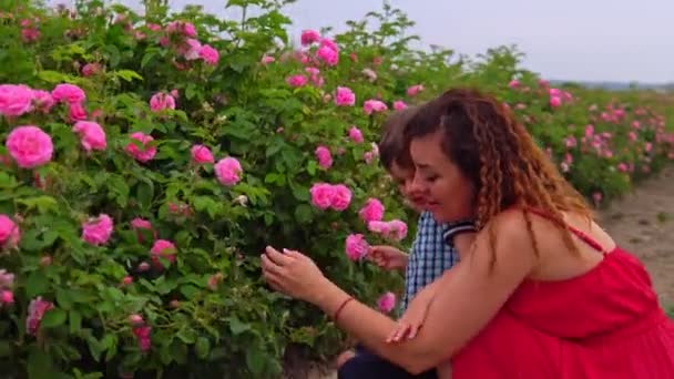 Maman avec un jeune fils dans un champ de roses — Video