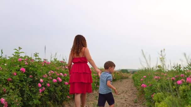 Máma s malým synem v kvetoucí růžové zahradě — Stock video