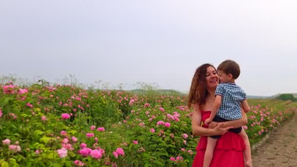 Çiçek açan gül bahçesinde annesi ve küçük oğlu. — Stok video
