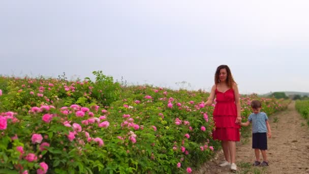 Mama z młodym synem w kwitnącym ogrodzie różanym — Wideo stockowe