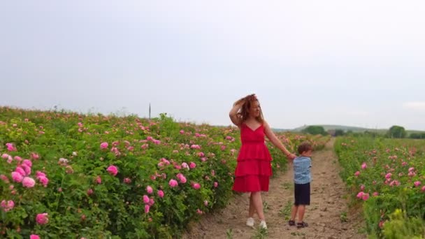 Mamma med liten son i blommande rosenträdgård — Stockvideo