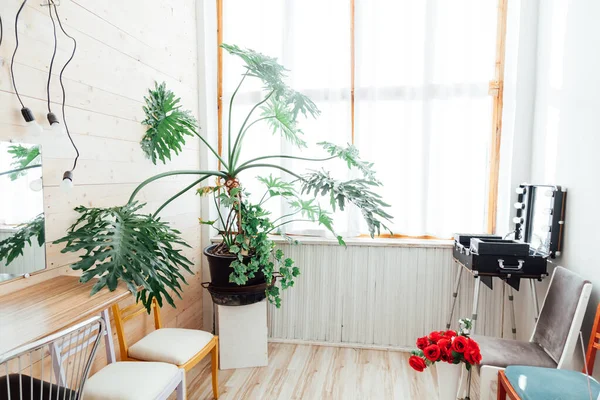 Planta de invernadero en el interior del vestidor de maquillaje — Foto de Stock