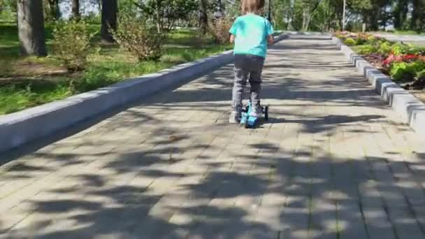 Jongen rijdt een scooter in het park. — Stockvideo