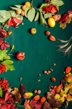 Meyve fındık yeşil arka plan üzerinde kırmızı ve sarı sonbahar yaprakları