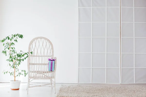 vintage chair with green home plant in the interior of the white room