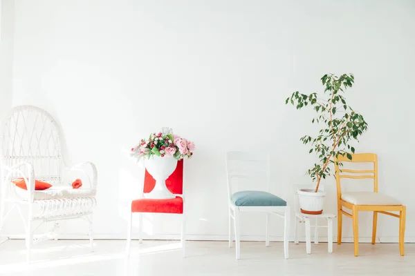 Cadeiras diferentes com flores e plantas na sala branca — Fotografia de Stock