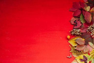 Sonbahar arkaplanı kırmızı ve sarı dökülen yapraklar yazı için konur