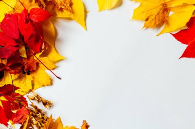 Sonbahar arkaplanı kırmızı ve sarı dökülen yapraklar yazı için konur