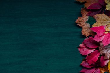 Sonbahar arkaplanı kırmızı ve sarı dökülen yapraklar yazı için konur