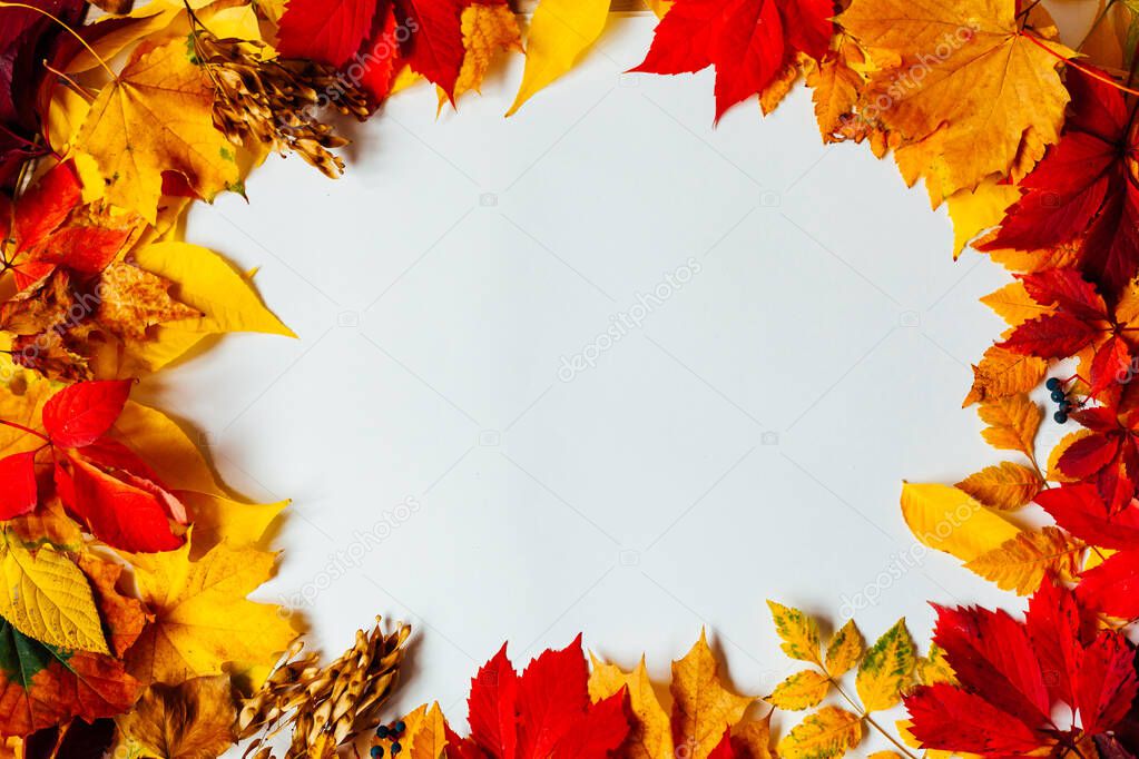 autumn background red and yellow fallen leaves place for inscription