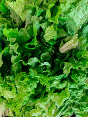 Arkaplan gibi yemek için bir sürü yeşil salata yaprağı.