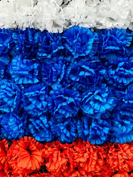 러시아 국기 색깔 이 붉은 푸른색의 흰색 꽃들 — 스톡 사진