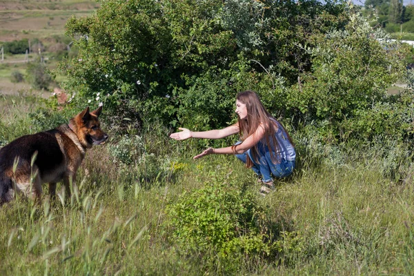 Vrouw op een wandeling met Duitse herdershond — Stockfoto