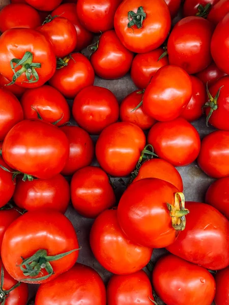 Πολλή Κόκκινη Ντομάτα Για Φαγητό Σαν Φόντο — Φωτογραφία Αρχείου