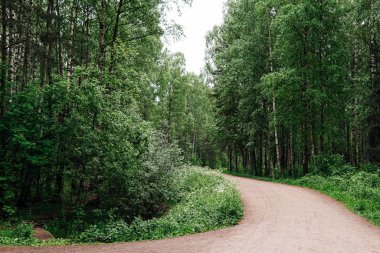yeşil orman park bitkiler için harika bir yoldur