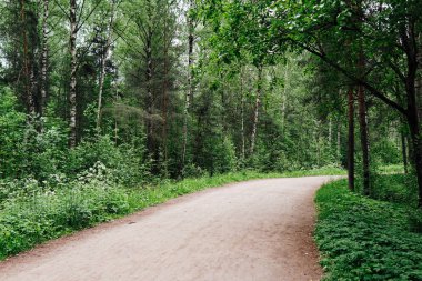 yeşil orman park bitkiler için harika bir yoldur