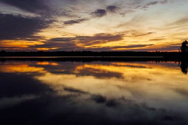 Lake Forest manzara doğa balıkçılık tatil güzel