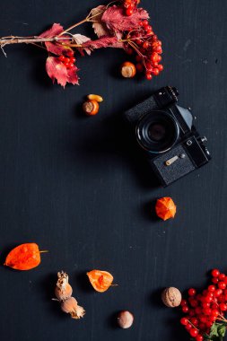 Eski kamera üzerinde tablo kırmızı ve sarı sonbahar yaprakları