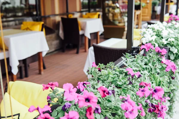 Fiori decorativi nel ristorante street food — Foto Stock