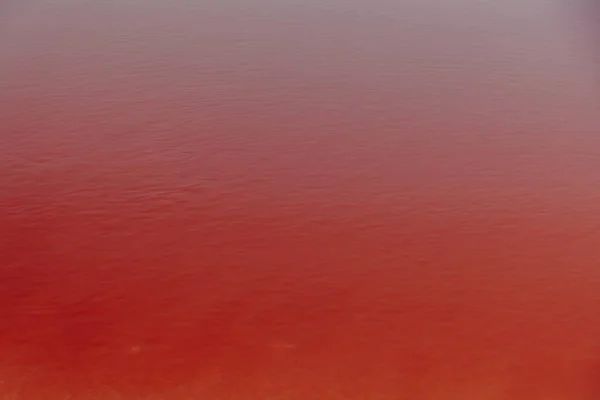 Růžová slanou vodou z jezera růžové pozadí x — Stock fotografie