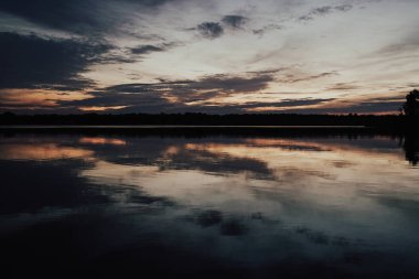 Lake forest yeşil manzara doğa Rusya'nın