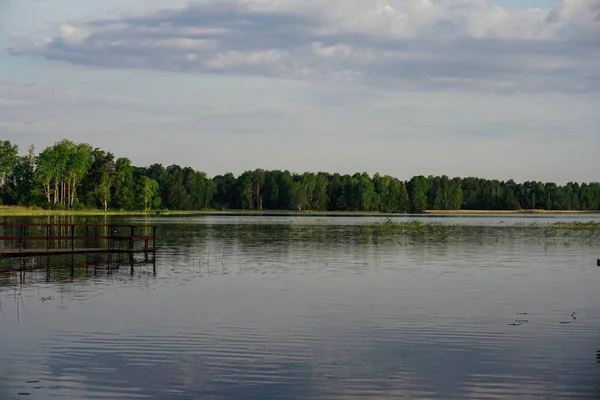 Lake forest natuur van het groene landschap van Rusland — Stockfoto