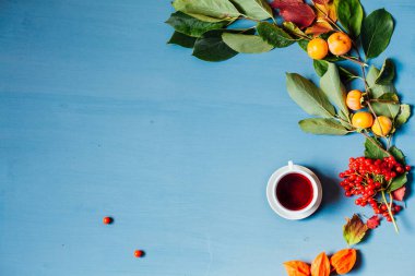 Çay Kupası meyve arka plan kırmızı ve sarı sonbahar yaprakları