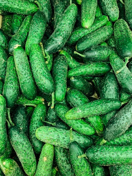 Dużo warzyw zielone ogórki do jedzenia jako tło — Zdjęcie stockowe
